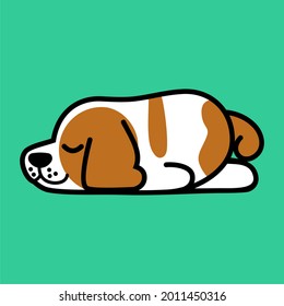 Puppy basset hound sleeping vector, lazzy, cute, white, brown, chubby