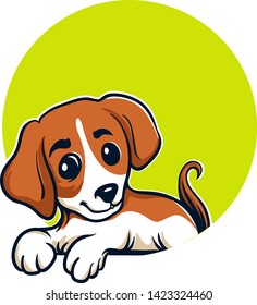 Puppy Beagle in a collar on a yellow background. 