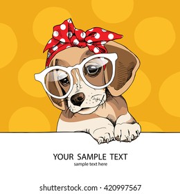 Puppy Beagle in a glasses and in a headband. Vector illustration.