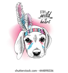 Puppy Beagle portrait in a Indian Feather Headdress. Vector illustration.