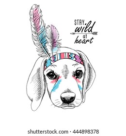 Puppy Beagle portrait in a Indian Feather Headdress. Vector illustration.