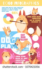 Puppy behavior including playing and pranks, love to human, colorful infographics with charts, paw prints, vector illustration