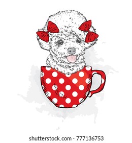 A puppy with bows on his head sits in a cup. A beautiful poodle. Painted thoroughbred dog. Vector illustration. Hipster.