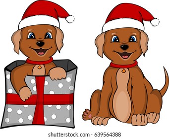 Puppy in box. Christmas present.