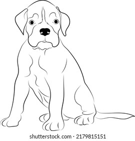 Puppy Boxdog einzeln auf Vektorgrafik
