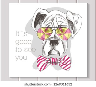 puppy boxer in pink glasses and white bow with pink stripes hand-drawn in graphic style