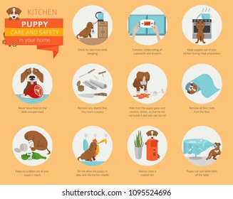 Puppy care and safety in your home. Kitchen. Pet dog training infographic design. Vector illustration