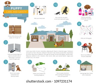 Puppy Care And Safety In Your Home. Outdoor. Pet Dog Training Infographic Design. Vector Illustration