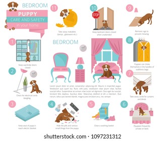 Puppy care and safety in your home. Bedroom. Pet dog training infographic design. Vector illustration