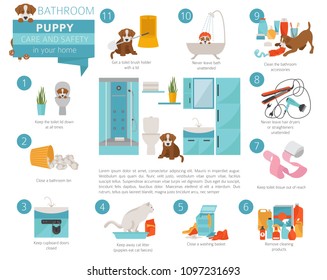 Puppy care and safety in your home. Bathroom. Pet dog training infographic design. Vector illustration