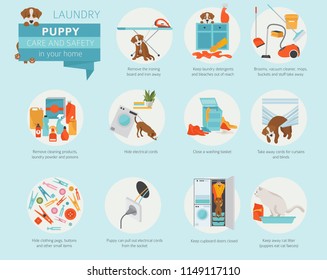 Puppy care and safety in your home. Laundry. Pet dog training infographic design. Vector illustration