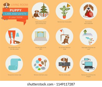 Puppy care and safety in your home. Living room. Pet dog training infographic design. Vector illustration