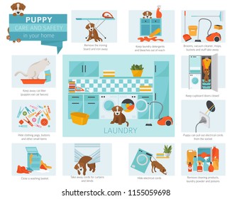 Puppy care and safety in your home. Laundry. Pet dog training infographic design. Vector illustration