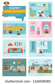 Puppy care and safety in your home. Pet dog training infographic design. Vector illustration