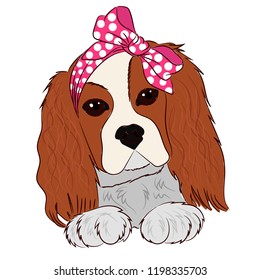Puppy cavalier king charles spaniel hand drawing