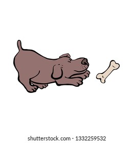 Puppy chasing bone. Dog isolated on white background.