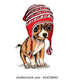 Puppy Chihuahua in a Alpaca Chullo Long Knit Hat. Vector illustration.