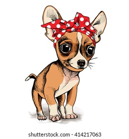 Puppy Chihuahua in a Headband. Vector illustration.