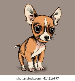 Puppy Chihuahua on beige background. Vector illustration.