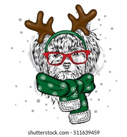 Puppy in Christmas costumes. York with horns in a scarf and sunglasses. Vector illustration for a card or poster. Christmas and New Year. Dog.