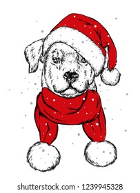 The puppy  in the Christmas hat. Santa Claus dog. New Year and Christmas, winter holidays. Vector illustration for postcard, or print on clothes.
