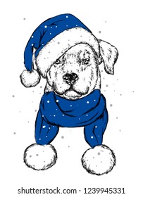 The puppy  in the Christmas hat. Santa Claus dog. New Year and Christmas, winter holidays. Vector illustration for postcard, or print on clothes.
