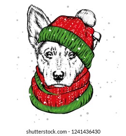 The puppy  in the Christmas hat. Santa Claus dog. New Year and Christmas, winter holidays. Vector illustration for postcard, or print on clothes.
