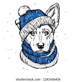 The puppy  in the Christmas hat. Santa Claus dog. New Year and Christmas, winter holidays. Vector illustration for postcard, or print on clothes.
