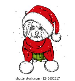The puppy  in the Christmas hat. Santa Claus dog. New Year and Christmas, winter holidays. Vector illustration for postcard, or print on clothes.
