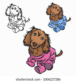 The puppy in the clothing, the outline of a cute puppy on white background, vector illustration, set