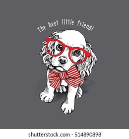 Puppy Cocker Spaniel in a red striped bow and with glasses on a gray background. Vector illustration.