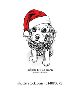 Puppy Cocker Spaniel in a Santa's cap and in a Knitted scarf. Vector illustration.