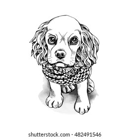 El cachorro Cocker Spaniel con bufanda está sentado.  Ilustración vectorial en blanco y negro.