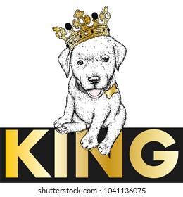 Puppy in a crown. Vector illustration for a postcard or a poster, print for clothes. Cute dog. Labrador. Clothes and accessories.