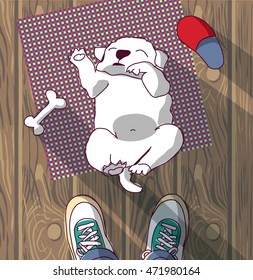 Puppy cute rest sleep on the floor and owner. Color vector illustration. EPS8