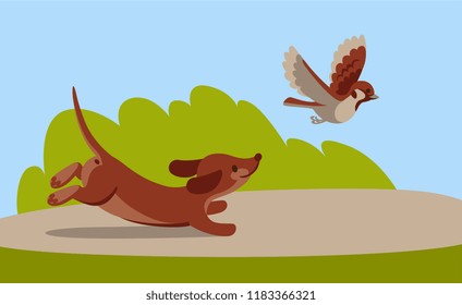 puppy Dachshund chases a Sparrow. Cartoon vector illustration.