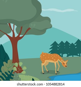 Puppy deer in the forest