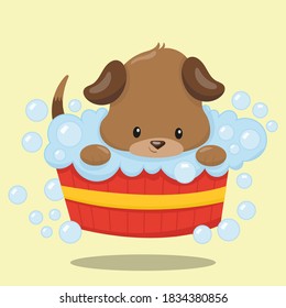 puppy dog bathing design vector illustration