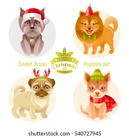 Puppy dog breeds icon set - Yorkshire Terrier, spitz, pug, chihuahua. Merry Christmas Happy New Year greeting card, isolated white background. Cute cartoon pet animal. Holiday Vector illustration eps.