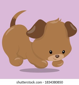 puppy dog design vector illustration