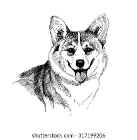 Puppy dog hand drawn black and white illustration sketch vector illustration