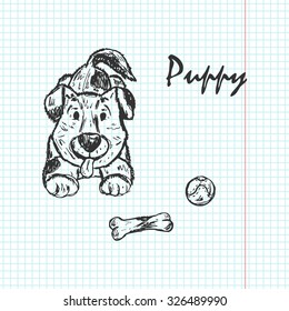 Puppy. Dog. Hand drawn doodle sketch - vector illustration