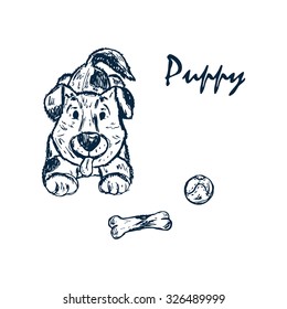 Puppy. Dog. Hand drawn doodle sketch - vector illustration