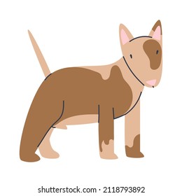Un perro cachorro・con un manto en la boca se pone de pie y sonríe. Pequeñas mascotas aisladas de fondo blanco. Ilustración vectorial plana.