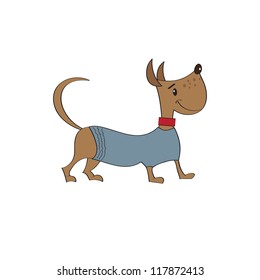 puppy dressed in fancy winter jacket