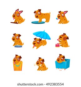 Puppy Everyday Activities Collection