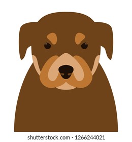 puppy  face , vector illustration ,flat style, front view