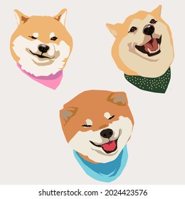 puppy funny dogs Shiba inu