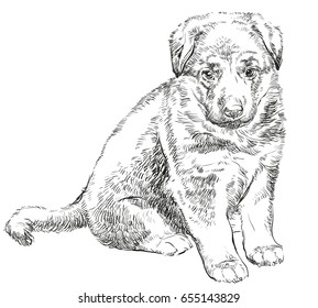 Puppy of german shepherd vector hand drawing Illustration isolated in black color on white background