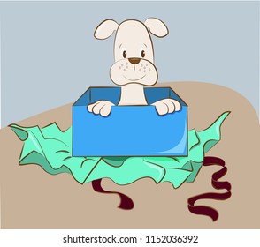 puppy for gift